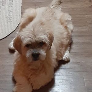 Meet your Posher, Renae